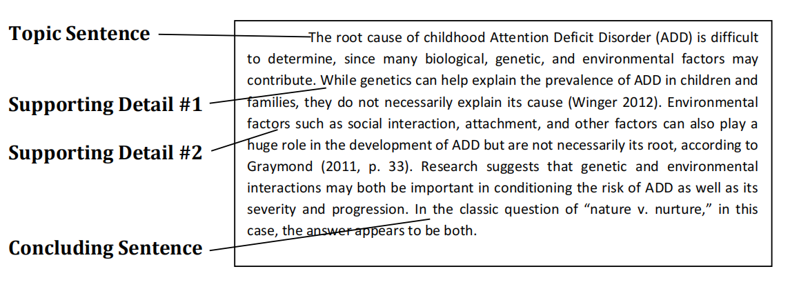 Write A Topic Sentence For Each Paragraph