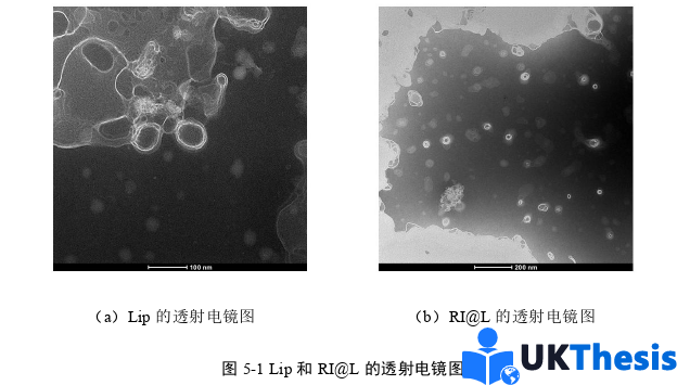 医学类硕士论文怎么写