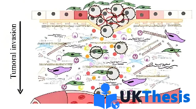 ei国际会议论文代写代发