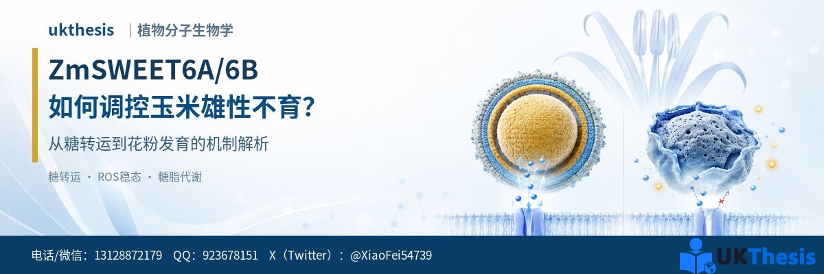 代写价格 代写价格