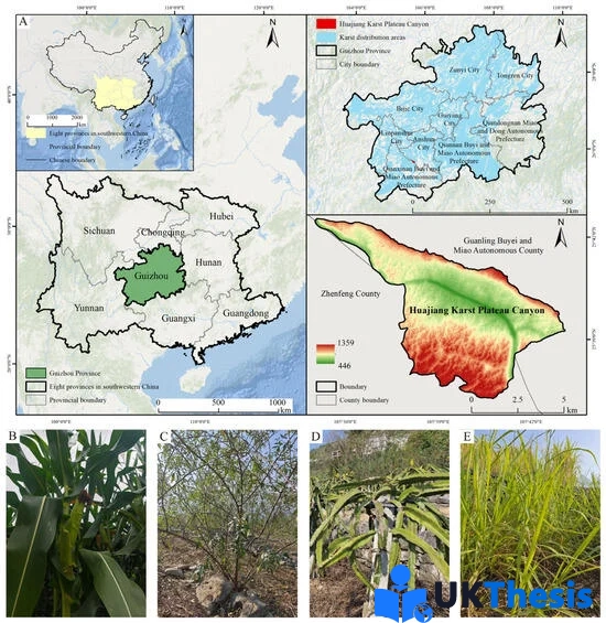 Agriculture影响因子 Agriculture影响因子